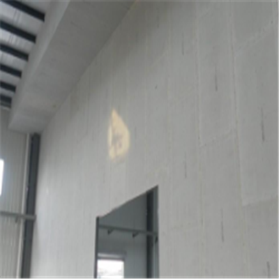 日照宁波ALC板|EPS加气板隔墙与混凝土整浇联接的实验研讨